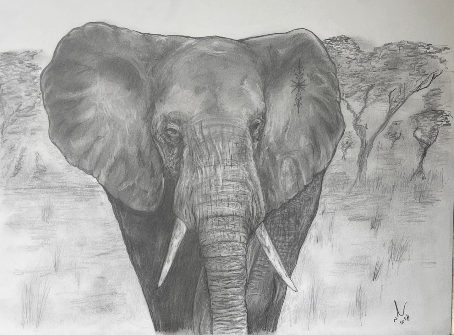 Elephant on the plain