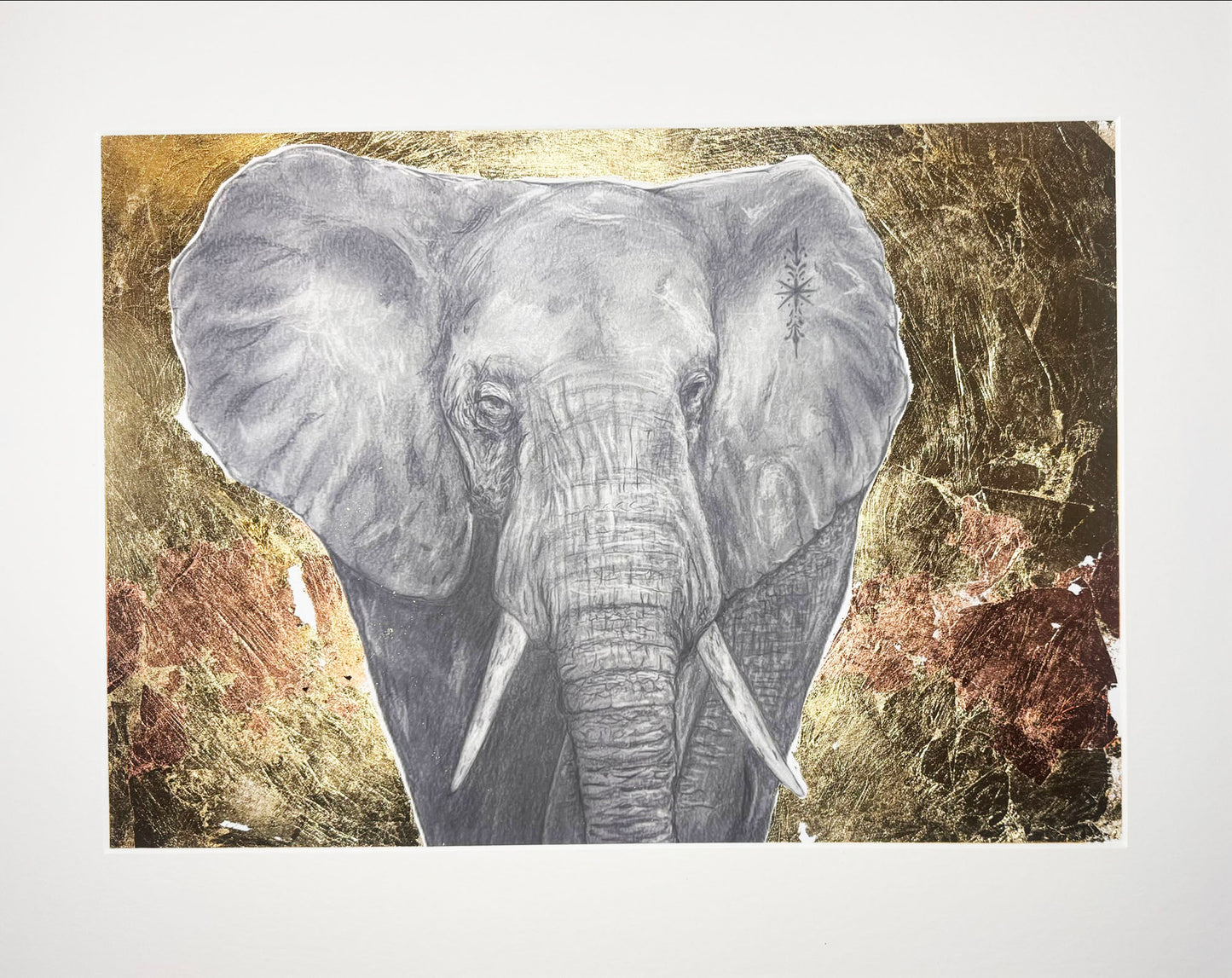 Elephant on the plain