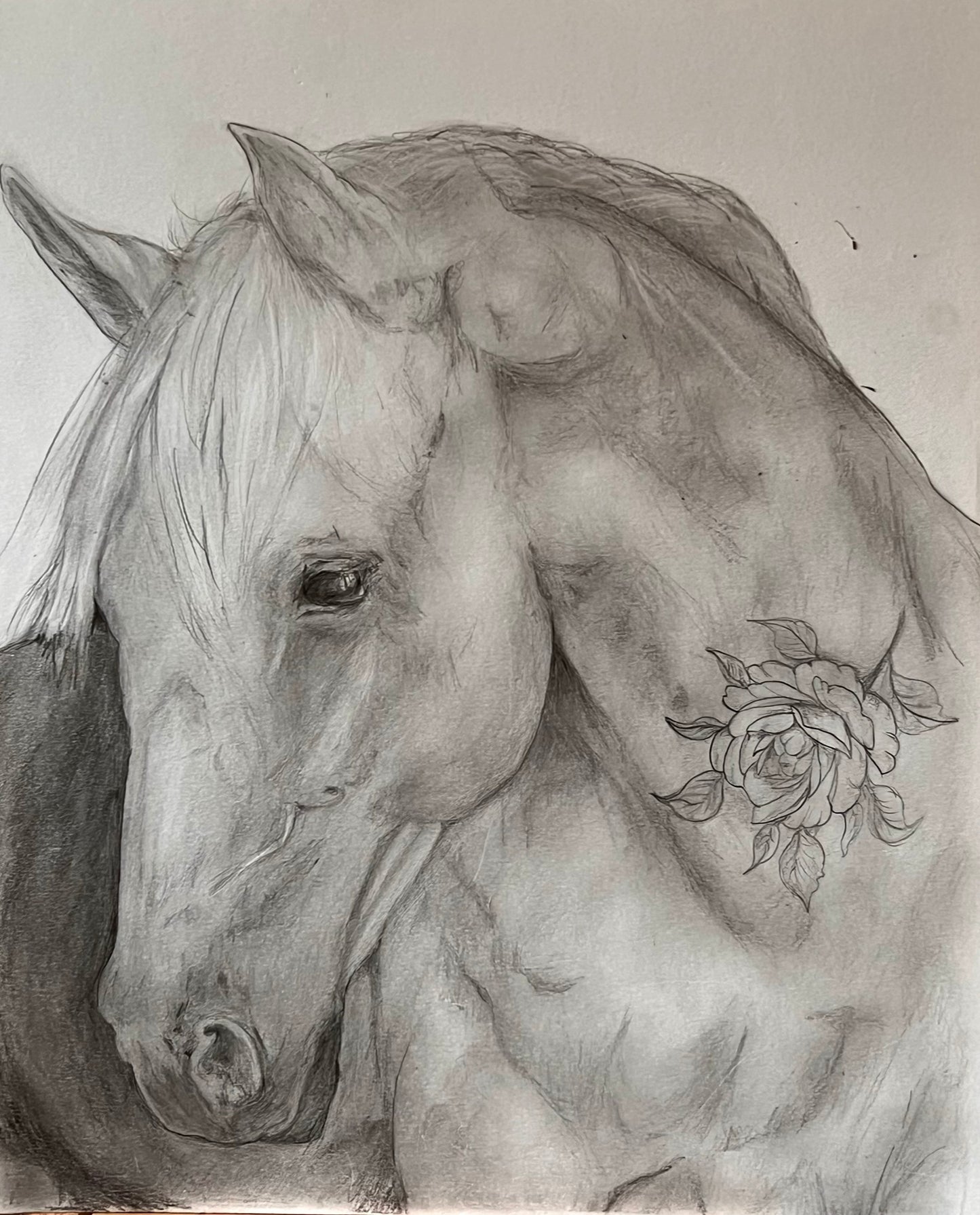 Tattooed horse