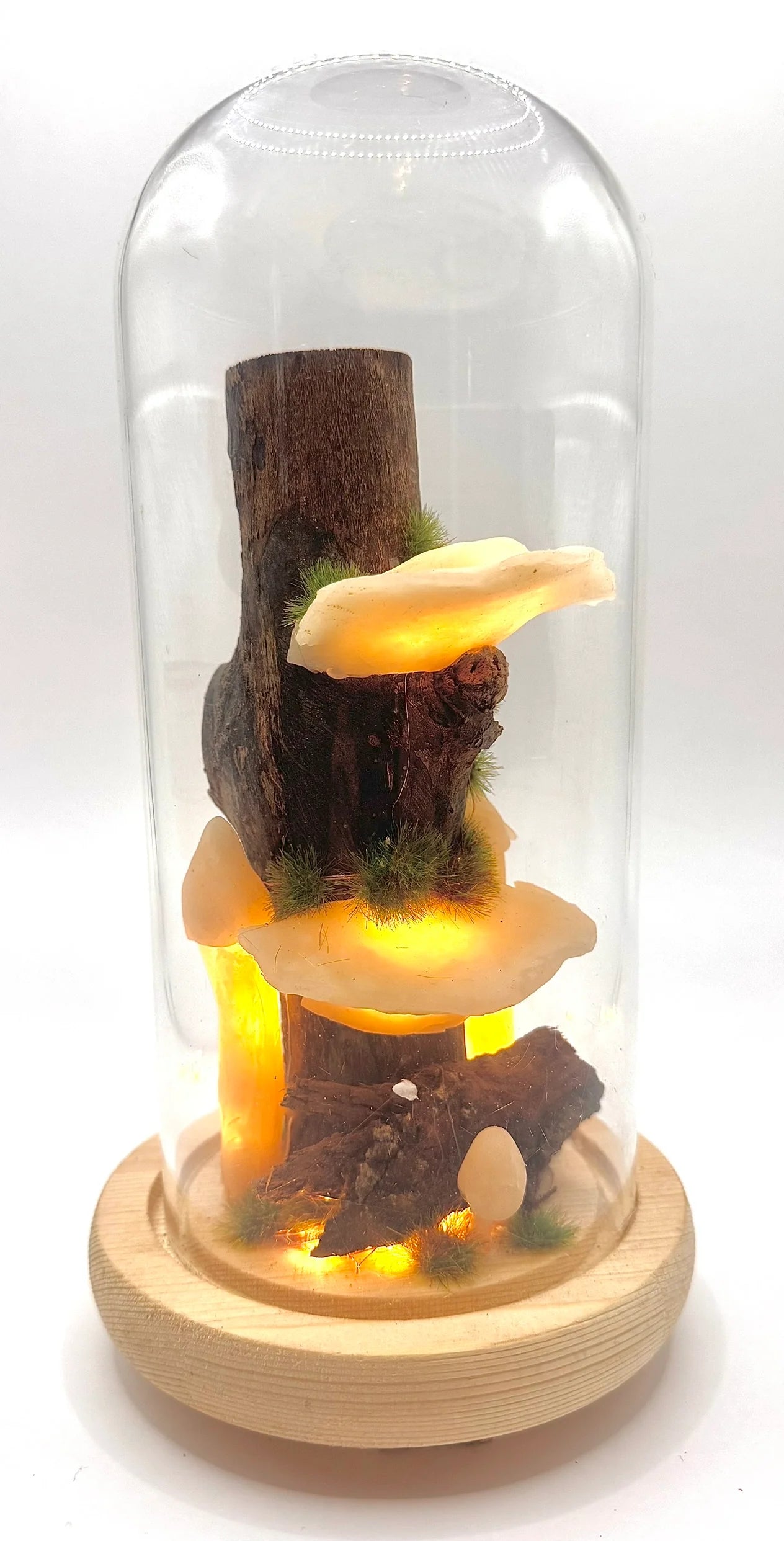 Mushroom Dome Light
