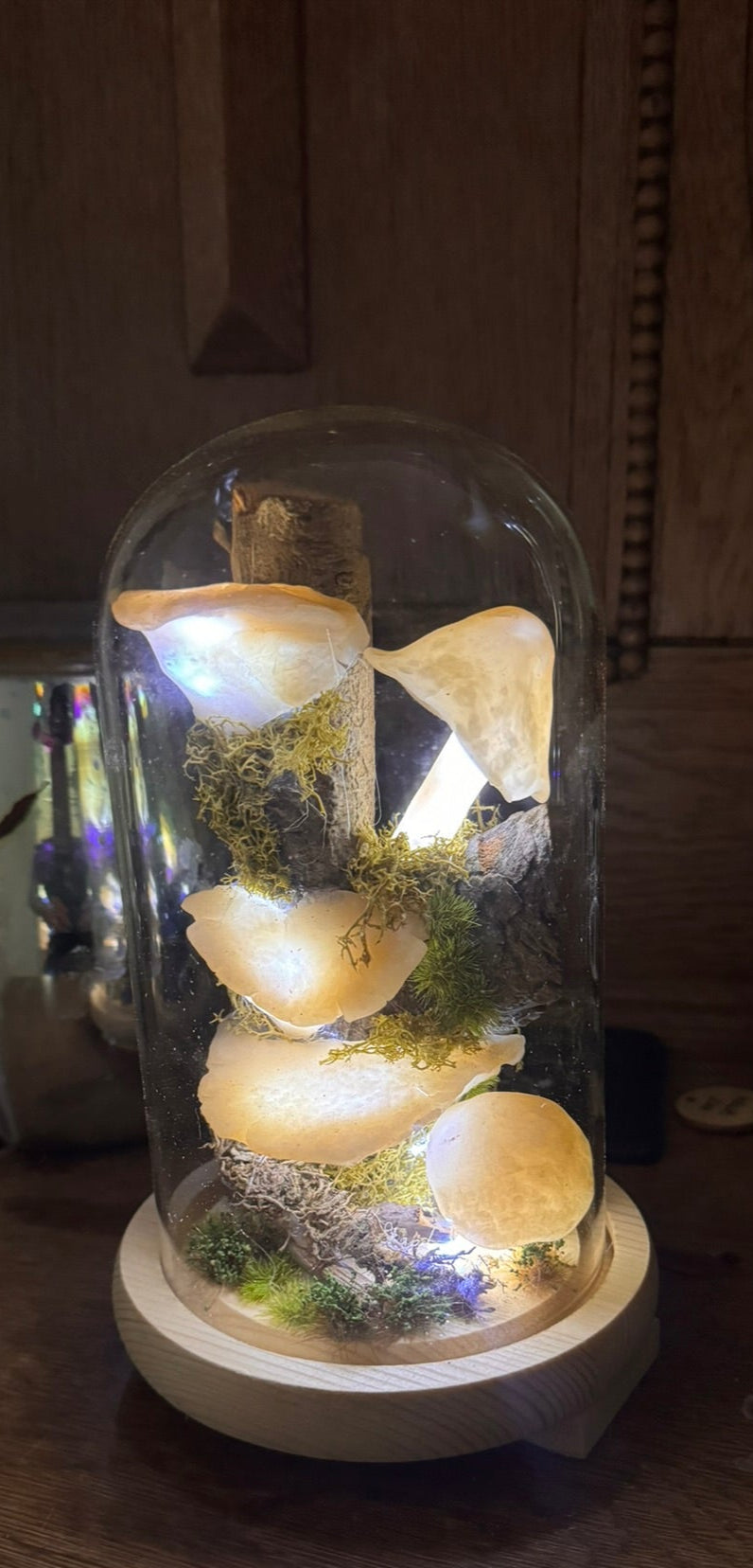 Mushroom Dome Light