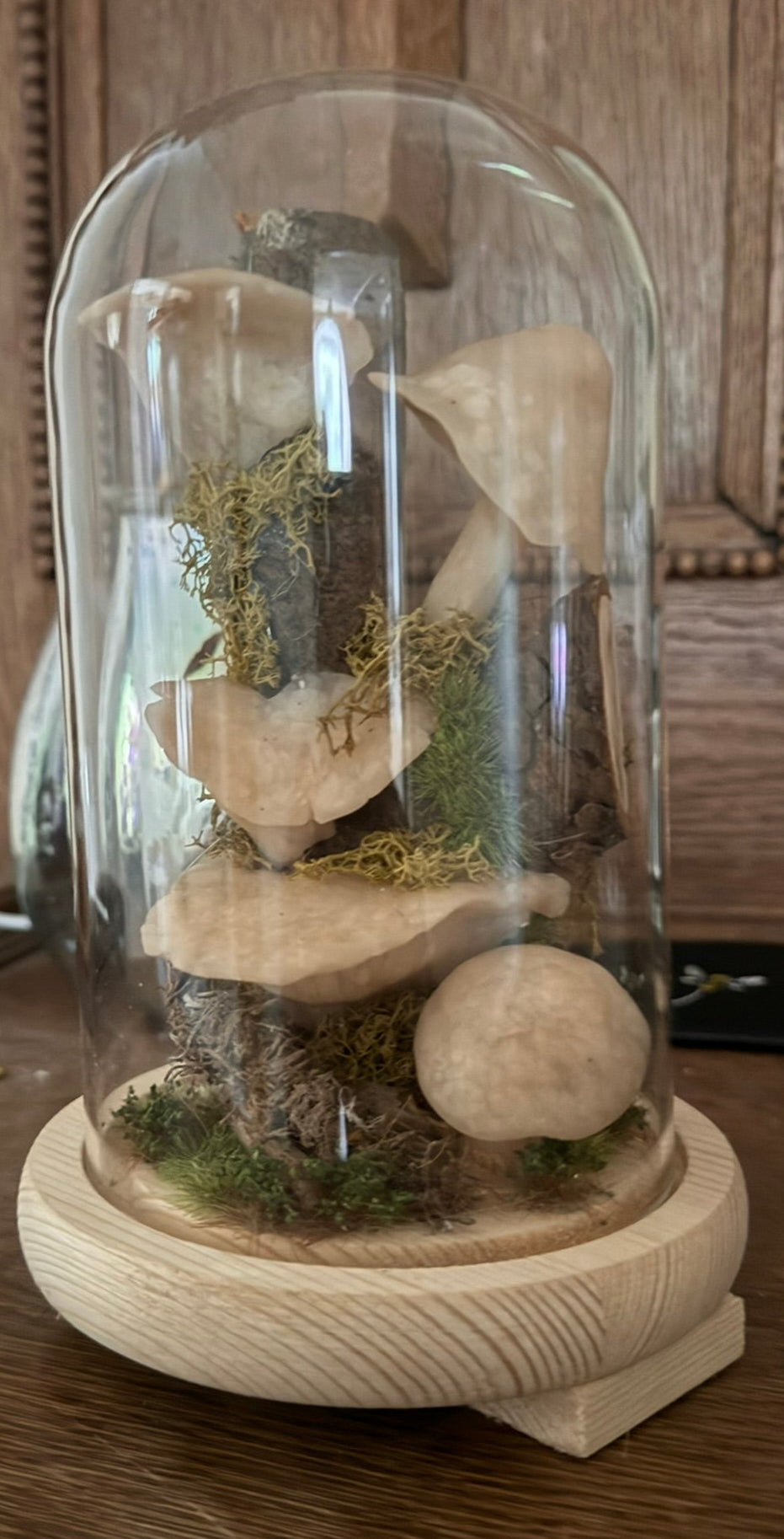 Mushroom Dome Light