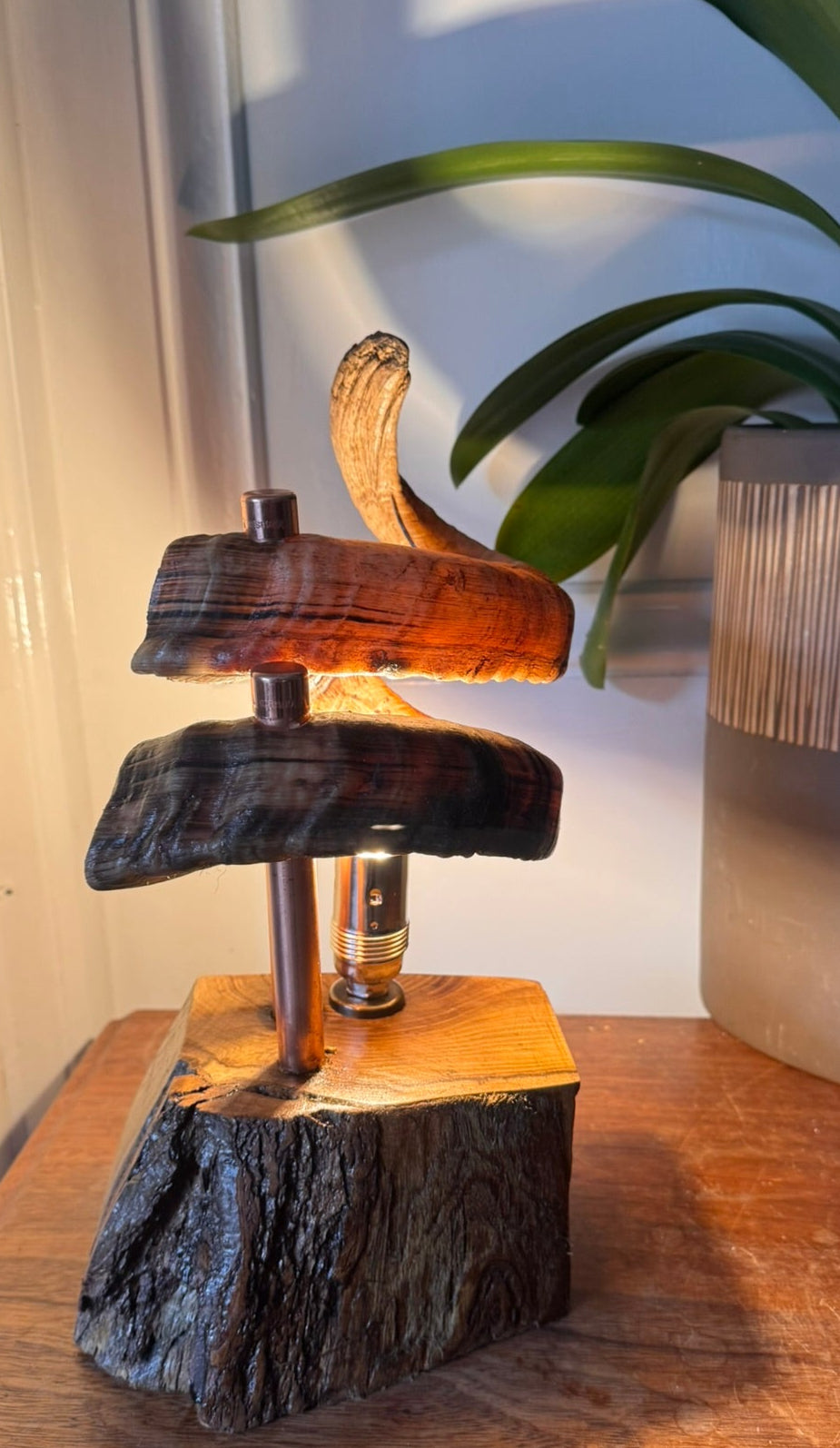 Rams horns table lamp