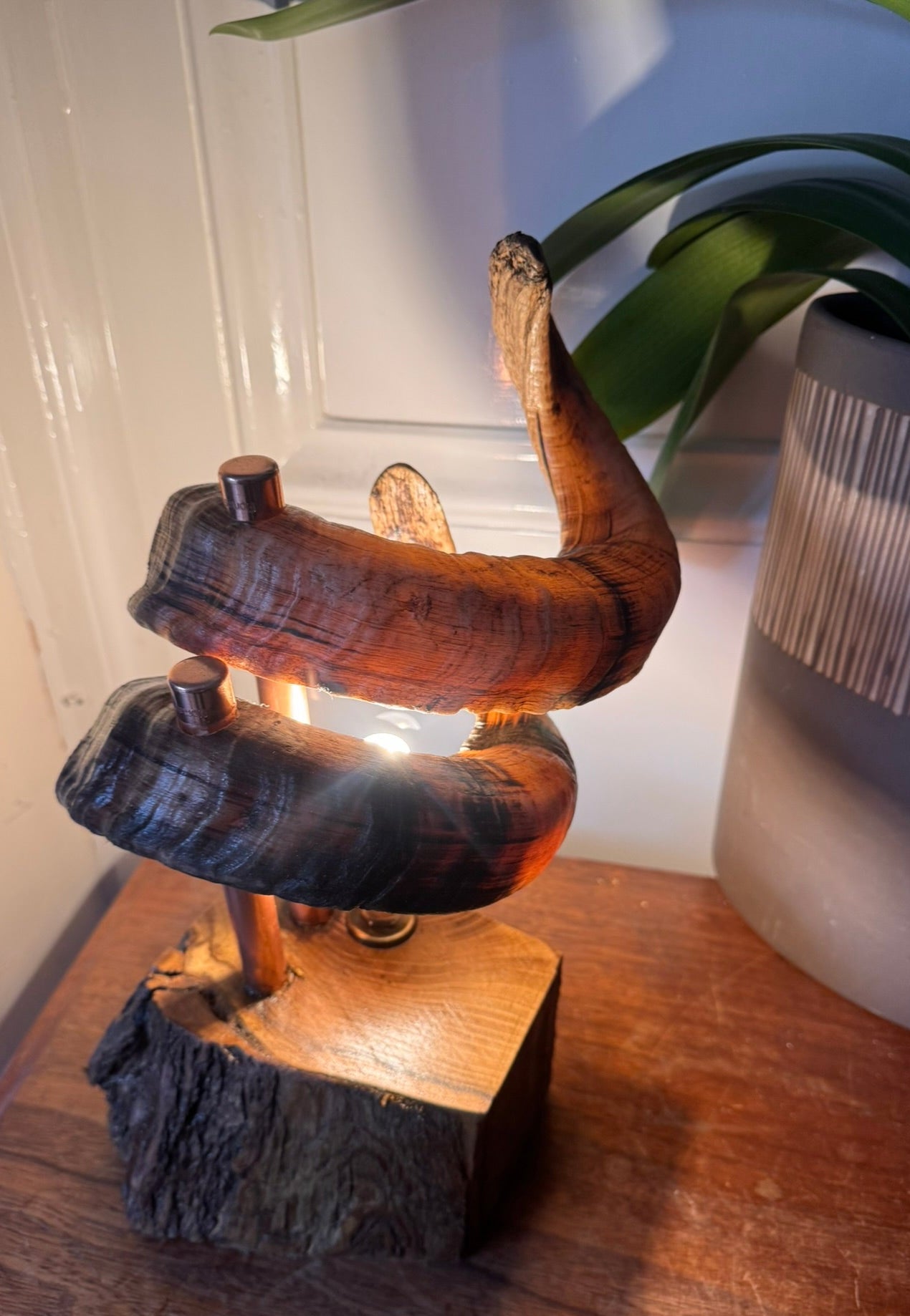 Rams horns table lamp