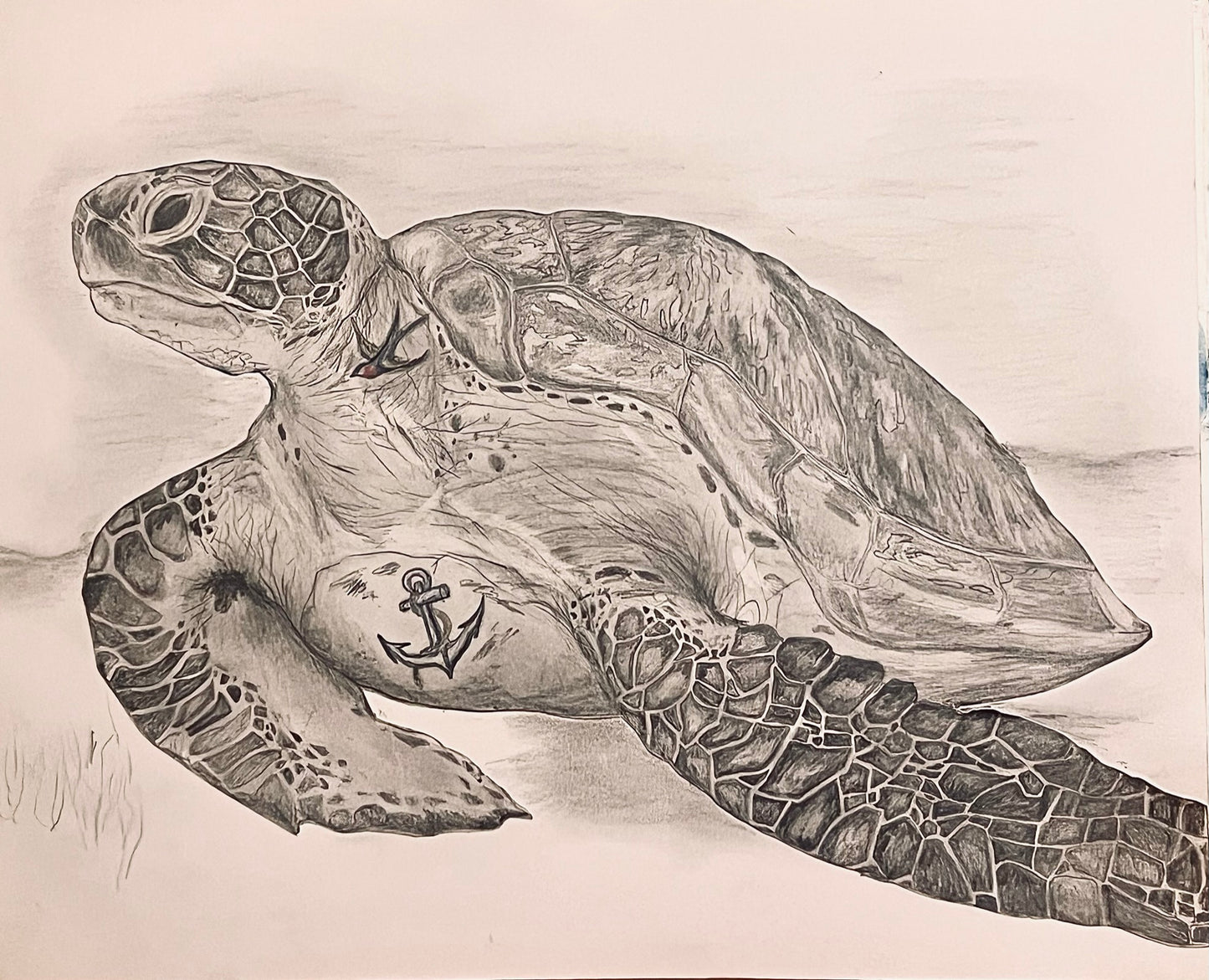 Tattooed Turtle