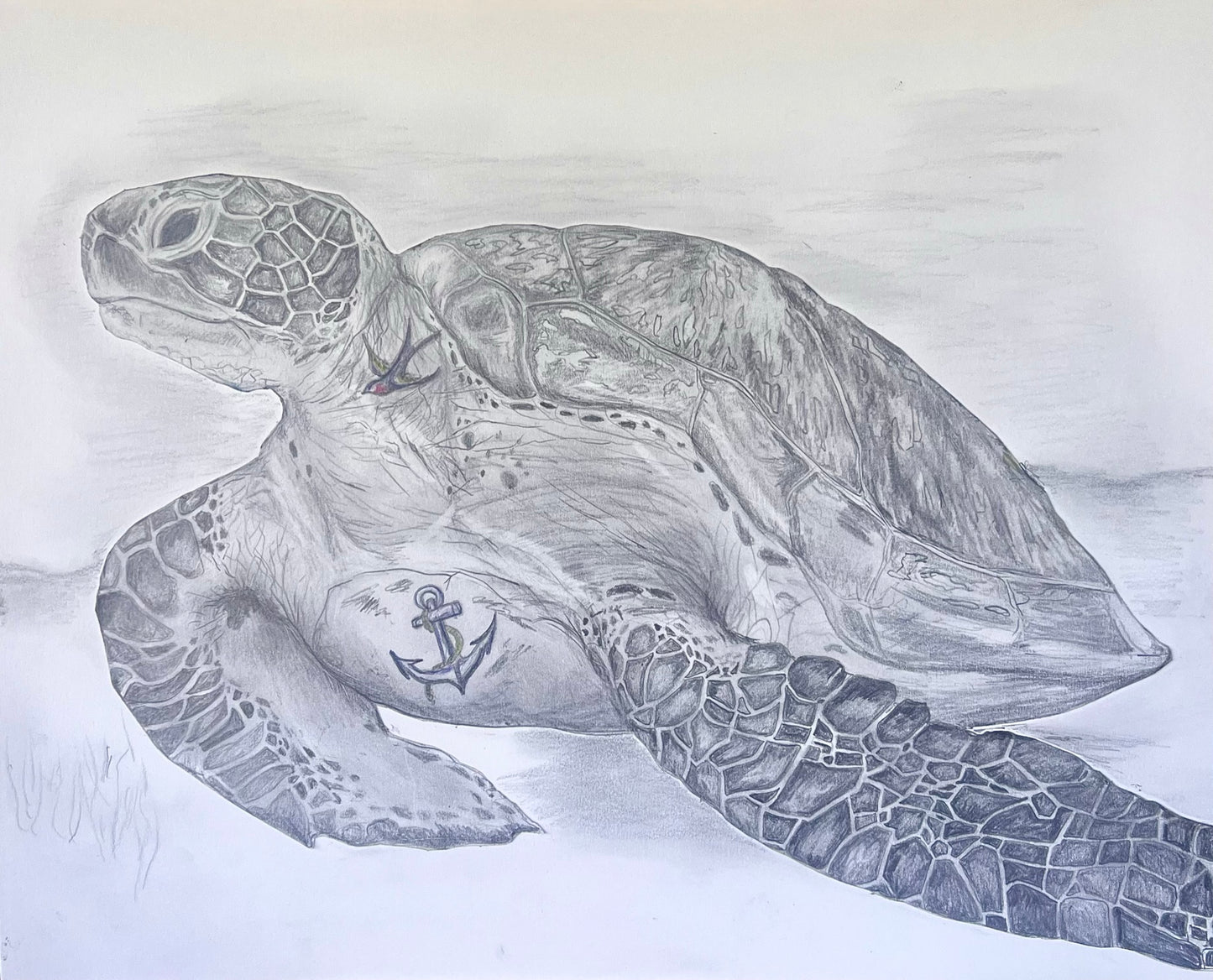 Tattooed Turtle