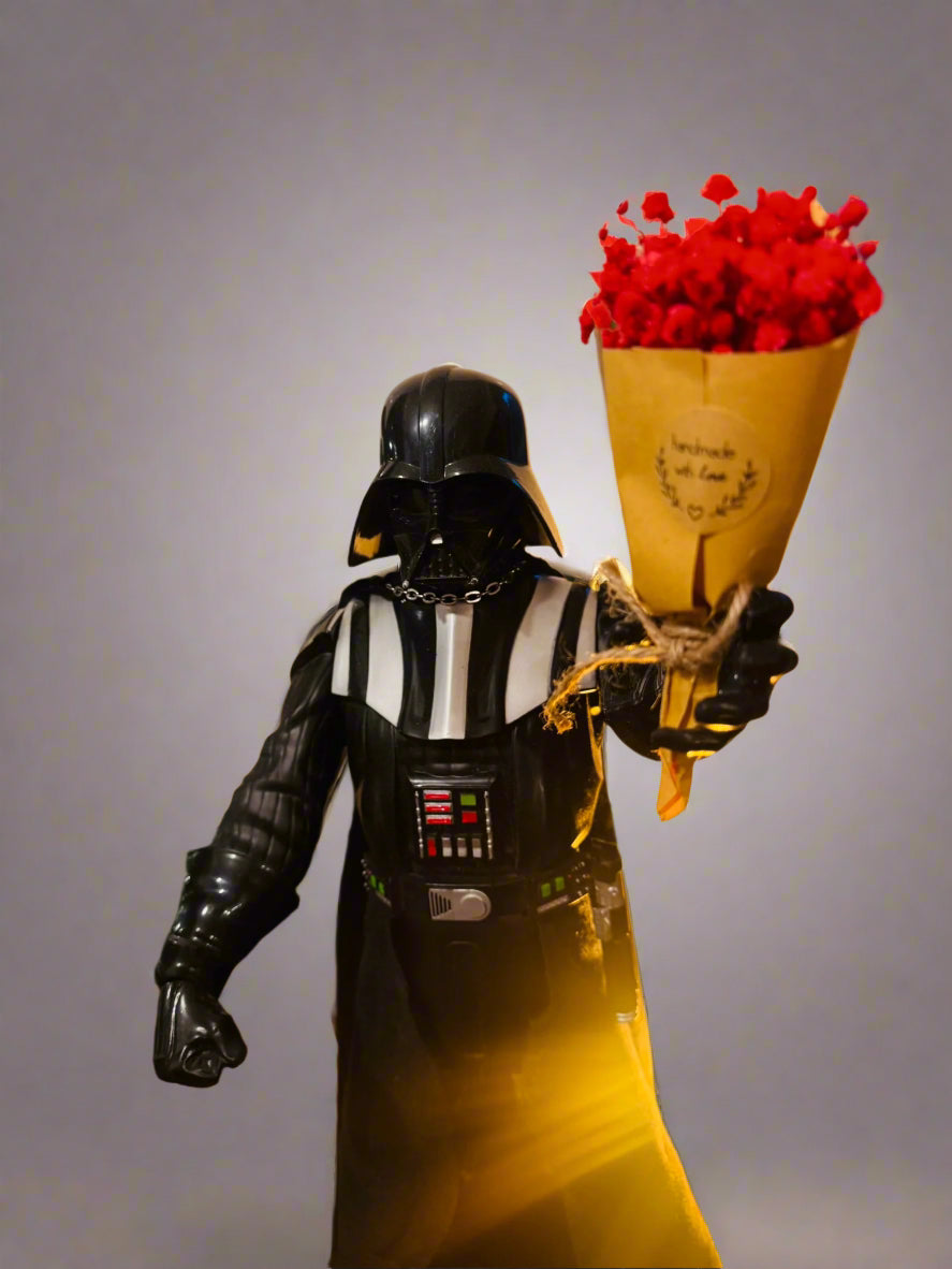 Darth the Softside