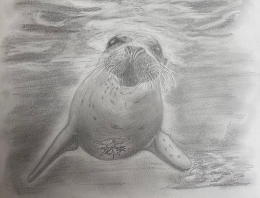 Tattooed Seal