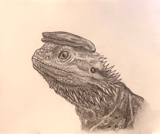 Peaky Bearded Dragon