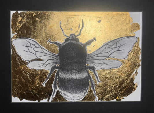 The amazing buzzy busy bee!