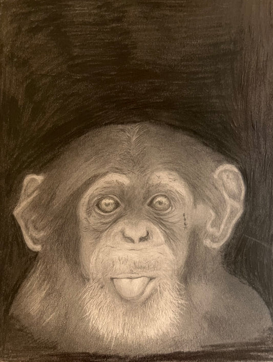 Cheeky Chimp