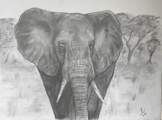 Elephant on the plain